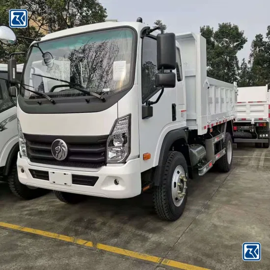 Sinotruk/Sinotruck/Sino Cdw/HOWO 4X2/4X4 LHD/Rhd Light Duty 5t